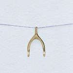 Click here for more information about Wish Necklace - Wishbone Gold