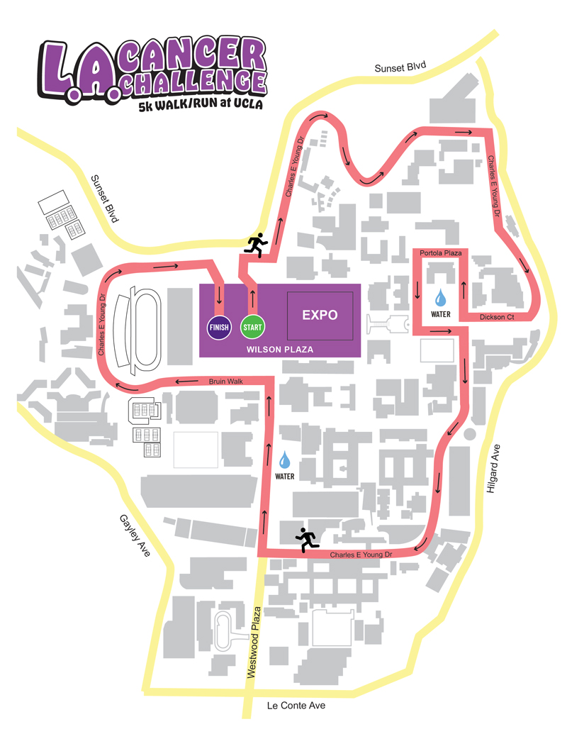 Course Map