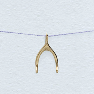 Wishbone Necklace Gold