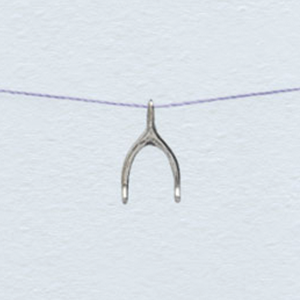 Wishbone Necklace Gold